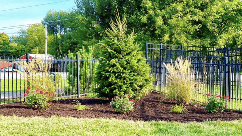 Landscape design
