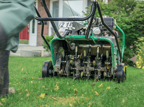 commercial aeration and overseeding