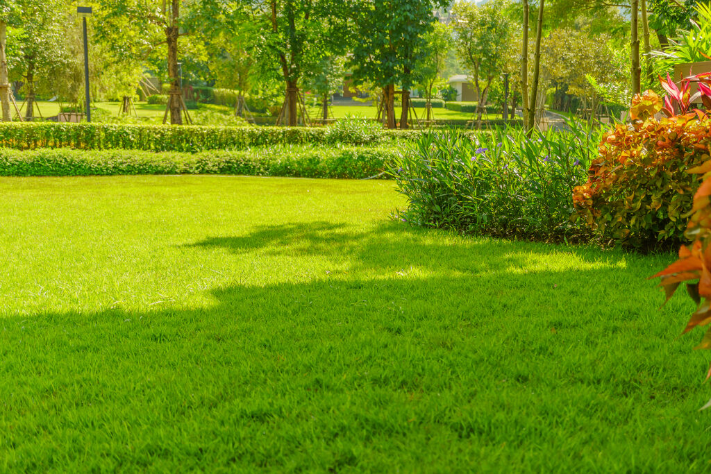 Why Fall Landscape Design Pays Off by Spring