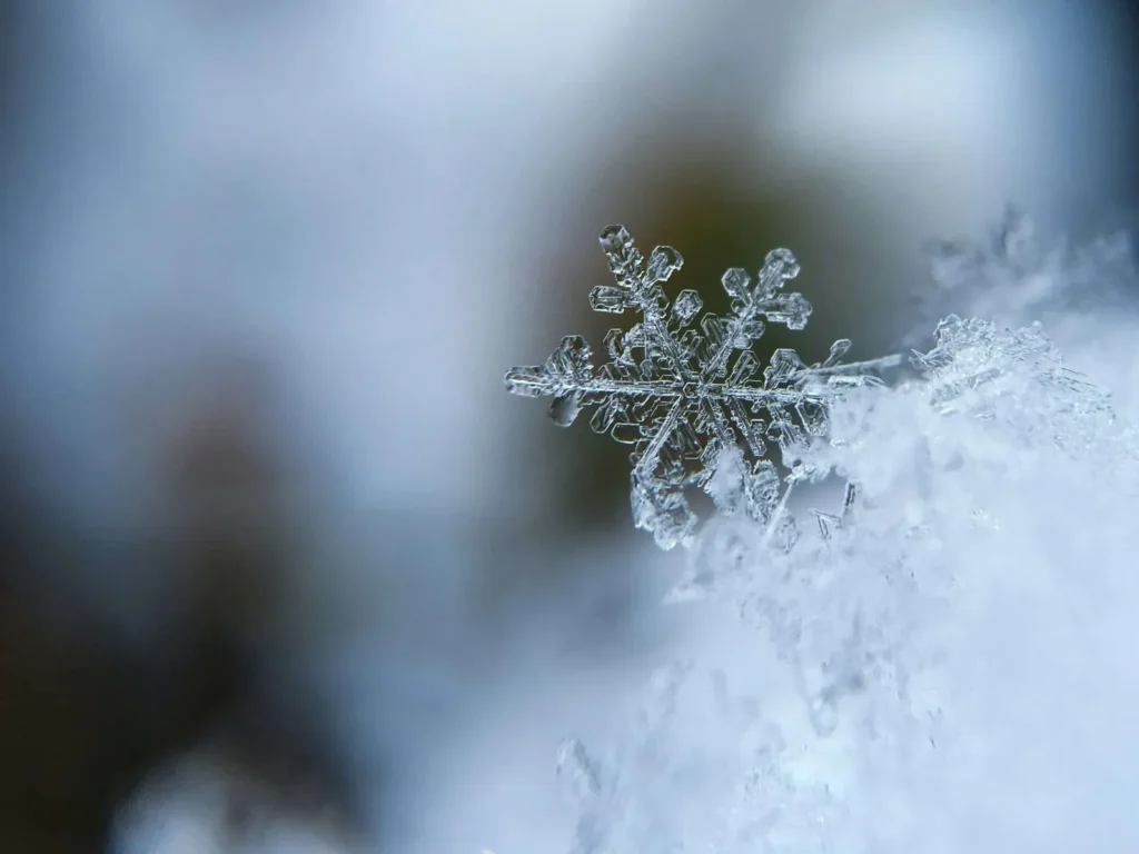 Winter Woes? Let PMT Lawn & Landscape Handle Your Snow Removal!