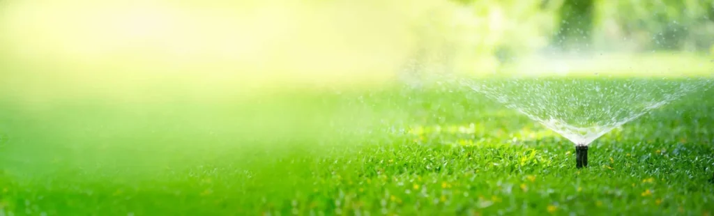 Spring Lawn Fertilizer and Care Guide