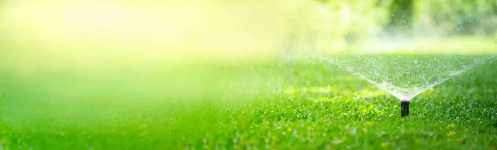 spring lawn fertilizer